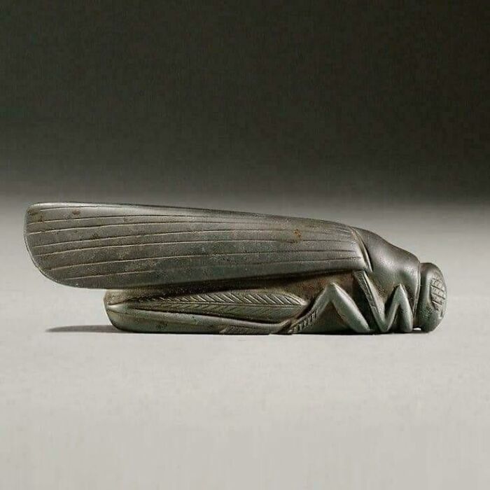 Carved antique cicada artifact nearly perfectly preserved, showcasing exquisite details and holding secrets of history.