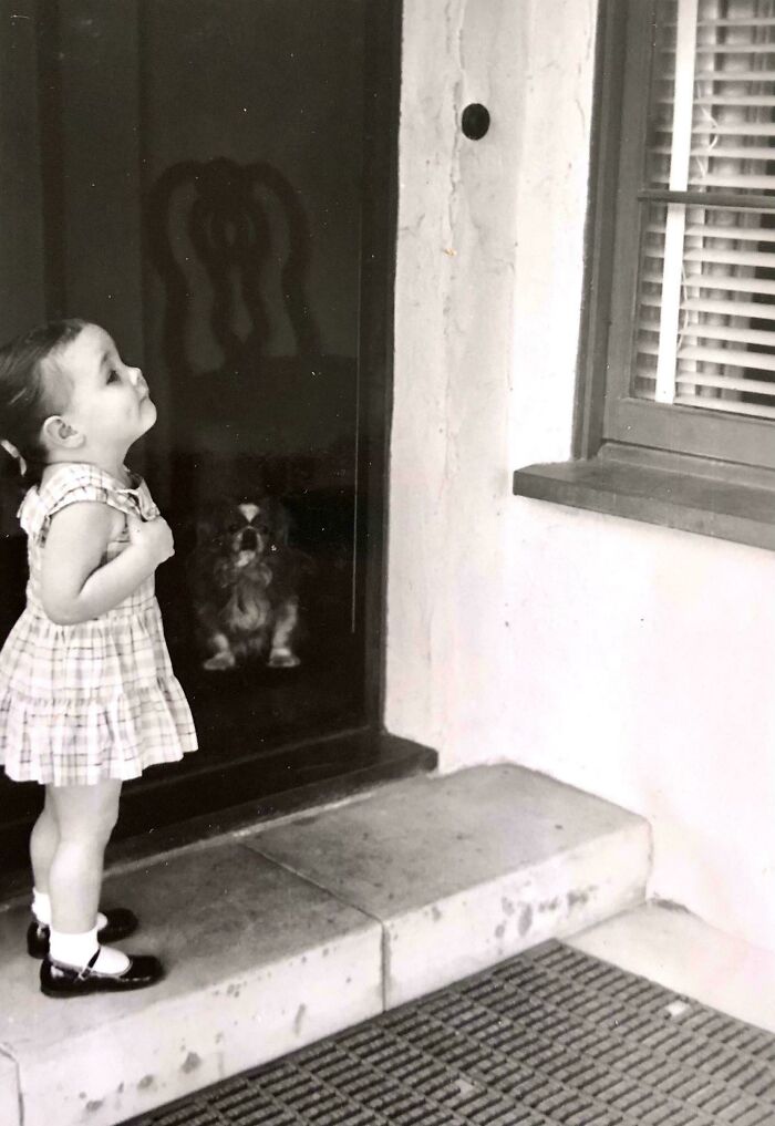 Candid old photos: A small child in a plaid dress looking up at a door, with a dog reflected in the glass.