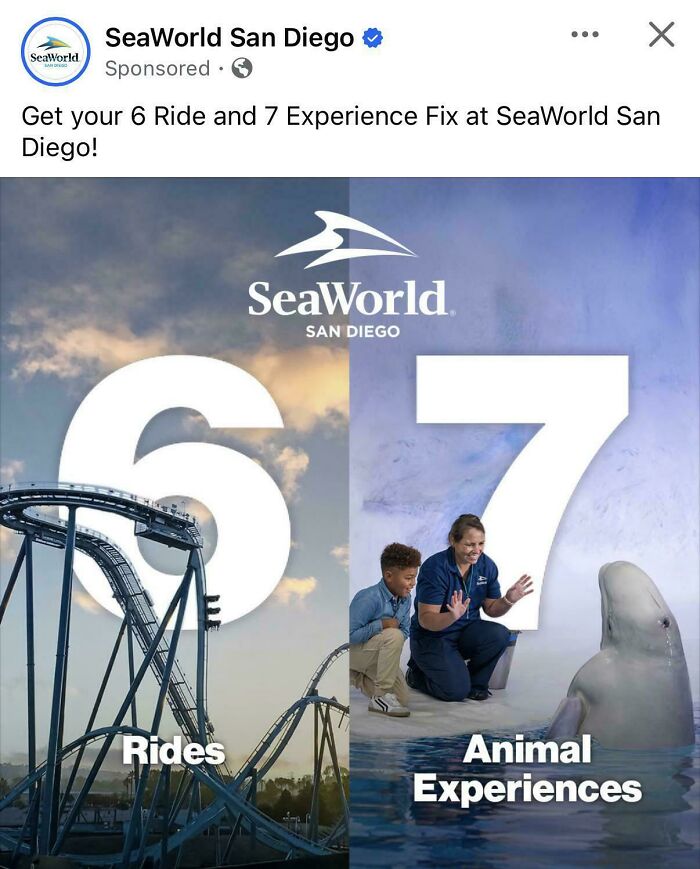 SeaWorld San Diego roller coaster ride on left and animal experience with beluga whale and trainer on right.