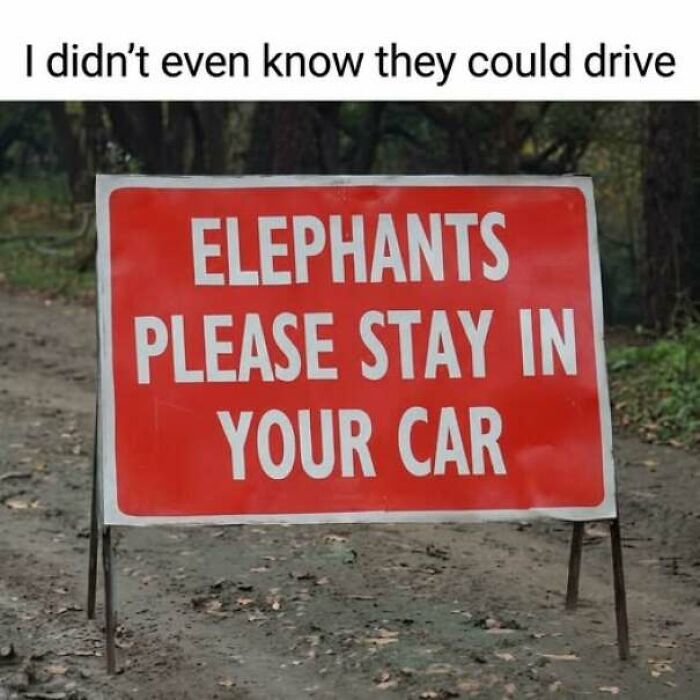 Red sign on a dirt path humorously instructing elephants to stay in their car, showcasing strange signs worth a double take.