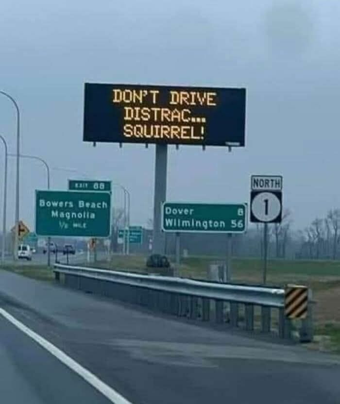 Electronic highway sign displaying a strange distraction warning about a squirrel among road signs near Dover, Delaware.
