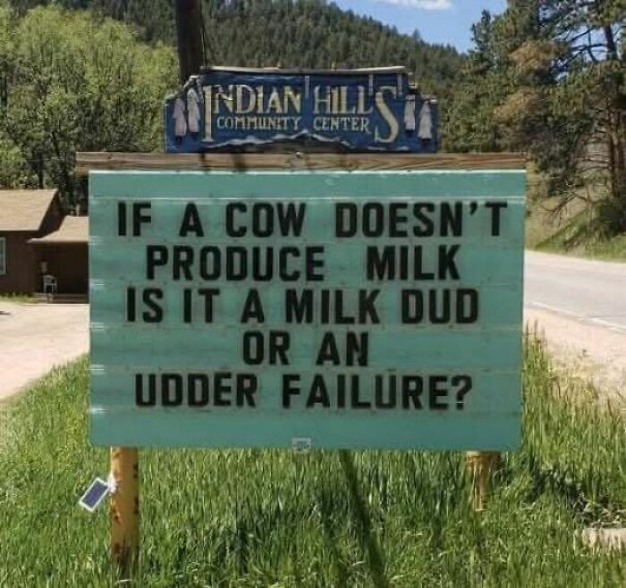 Funny and strange roadside sign questioning if a cow not producing milk is a milk dud or udder failure.