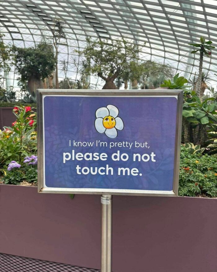 Sign with a smiling flower illustration saying please do not touch me, one of the strange signs worth a double take.