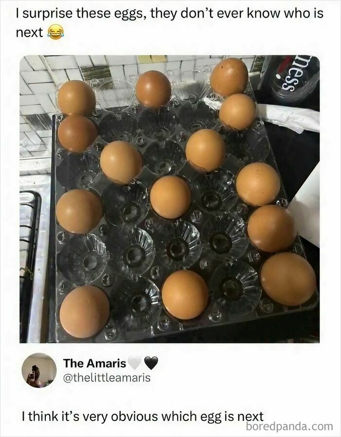 Funny food meme showing eggs in a tray with one missing, capturing snack cravings humor perfectly.