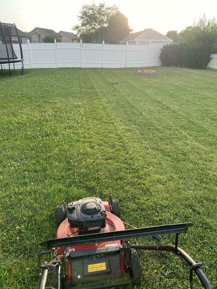 Lawn mower cutting fresh grass in a backyard, illustrating odors you should never dismiss for safety reasons.