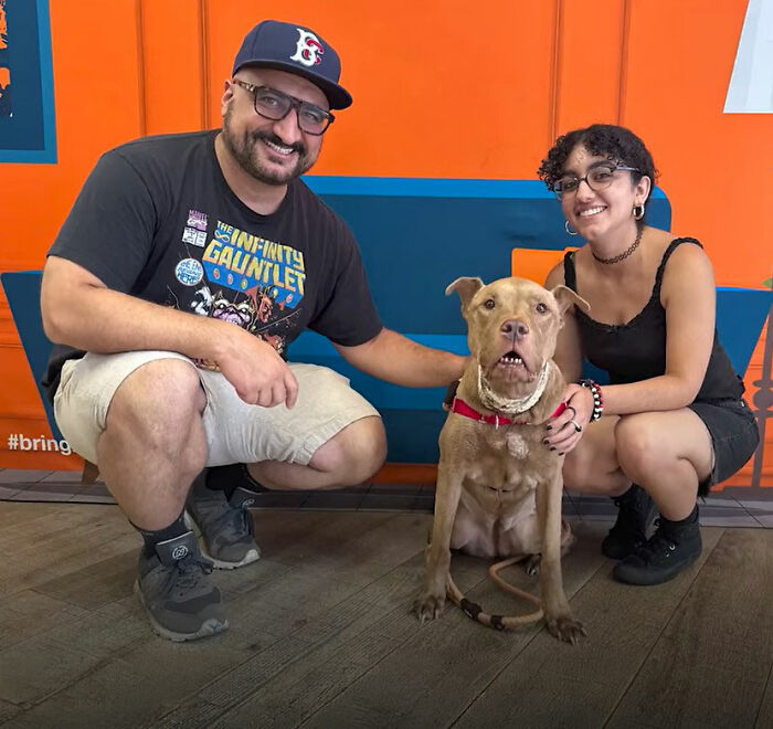 After Losing Her Home And Getting A Terminal Diagnosis, This Dog Found Comfort In A Familiar Place