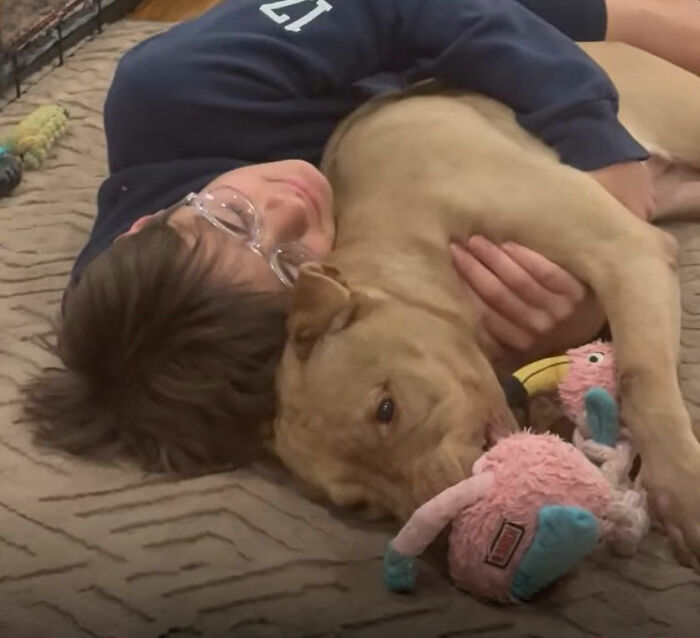 After Losing Her Home And Getting A Terminal Diagnosis, This Dog Found Comfort In A Familiar Place