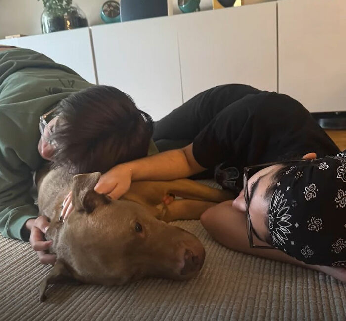 After Losing Her Home And Getting A Terminal Diagnosis, This Dog Found Comfort In A Familiar Place