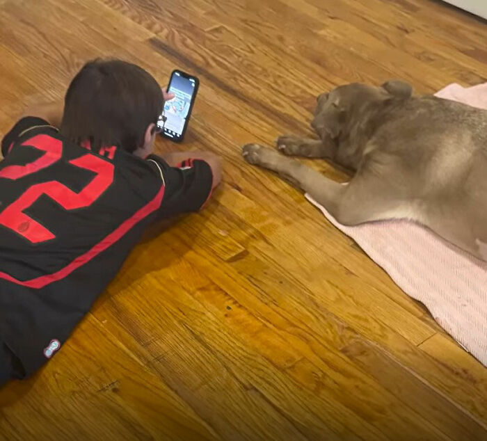 After Losing Her Home And Getting A Terminal Diagnosis, This Dog Found Comfort In A Familiar Place