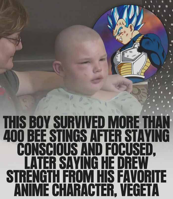 Bee Sting Kid, Sucessor Of Vegeta
