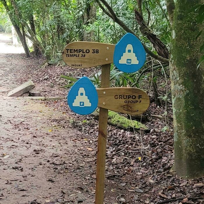 Wooden forest trail sign with confusing design pointing to Temple 38 and Group F, illustrating terrible product designs outdoors.