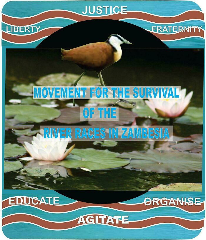 Bird standing awkwardly on water lilies, illustrating one of the terrible product designs that should have never seen the light of day.