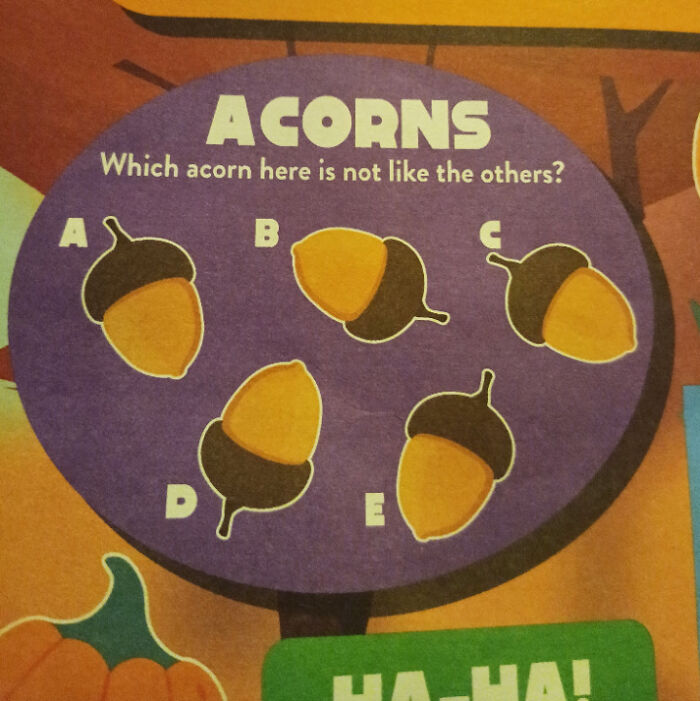 Puzzle showing acorns with a design flaw, asking which acorn is different, illustrating terrible product designs.