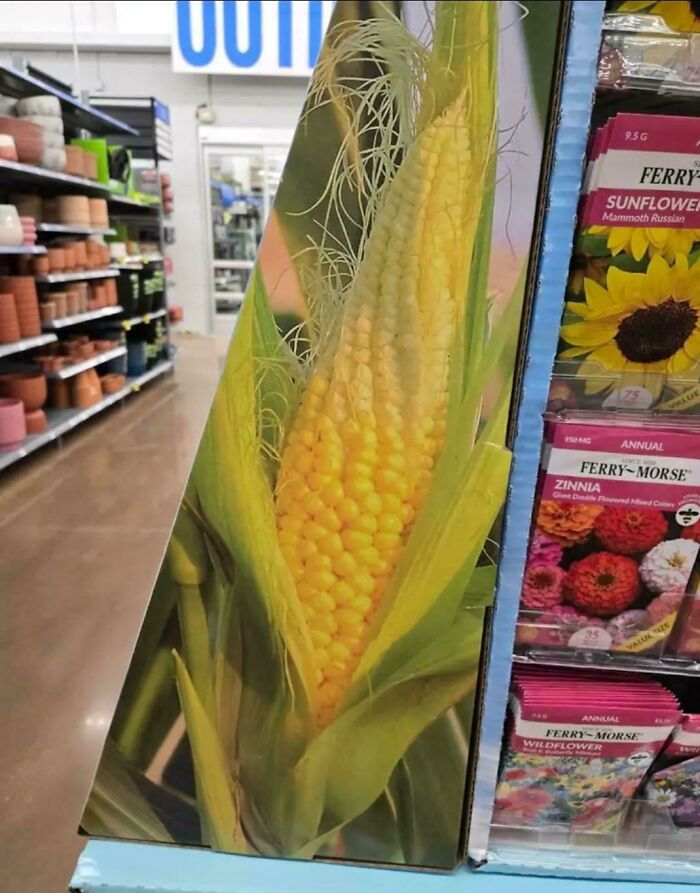 Packaging design showing a realistic ear of corn that could confuse shoppers, an example of terrible product designs.