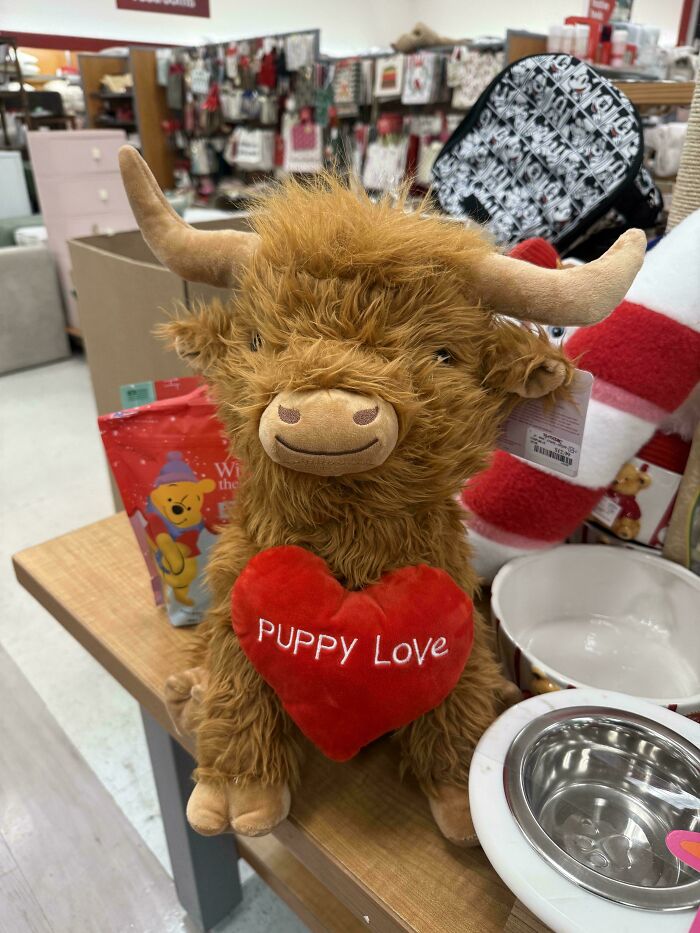 Plush toy holding a heart with mismatched text, illustrating terrible product designs in a retail store setting.
