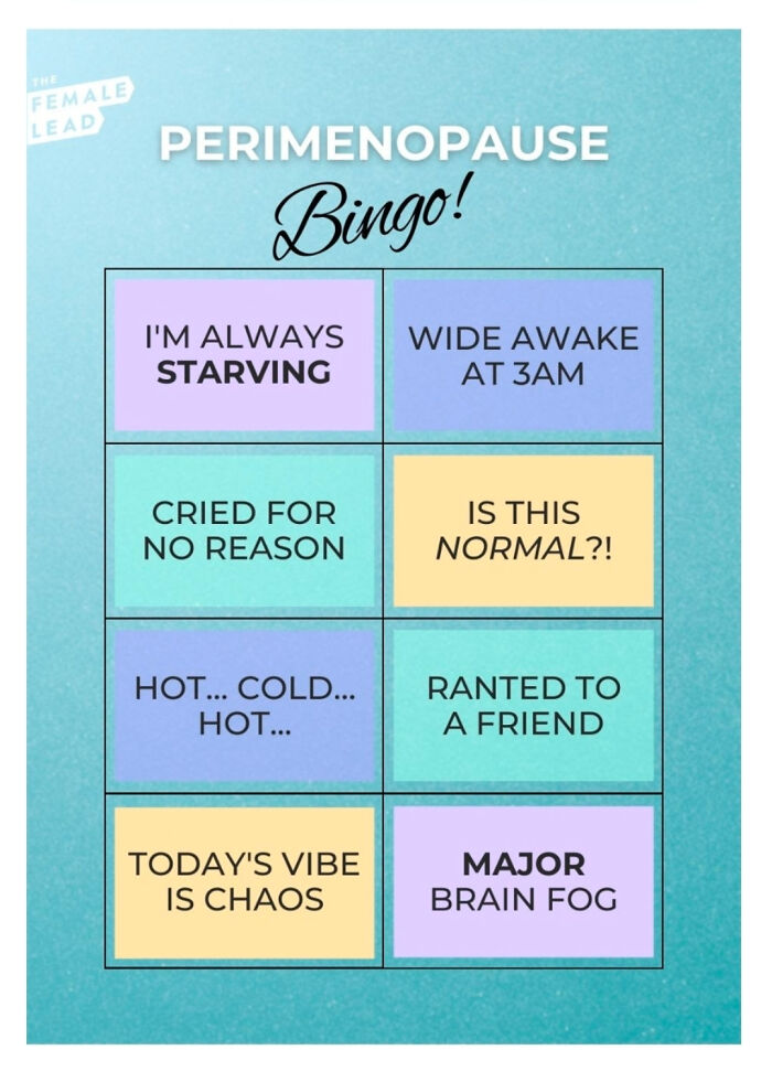Perimenopause bingo card with phrases illustrating symptoms in a colorful grid, showcasing terrible product design concept.