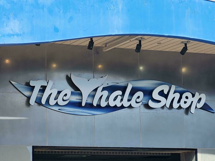 Sign for The Whale Shop featuring a whale tail design, an example of terrible product designs and branding fails.