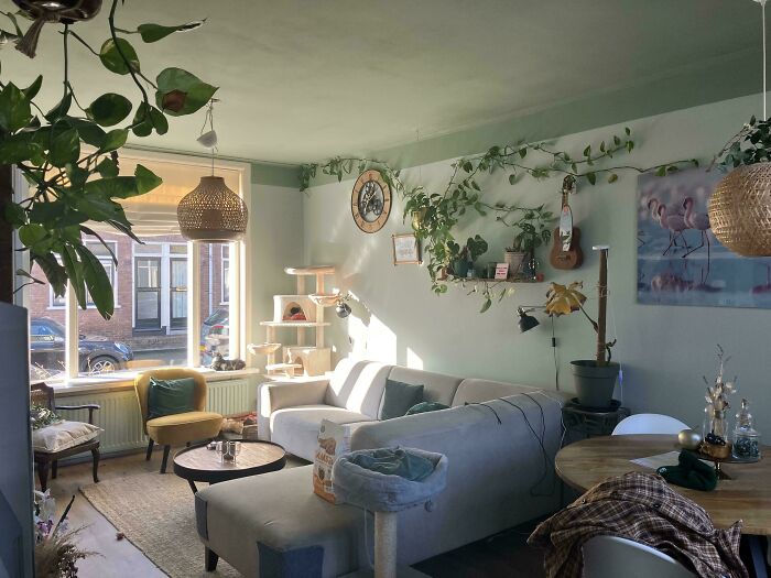Cozy living room featuring various home decor projects like hanging plants, a cat tree, and warm lighting.