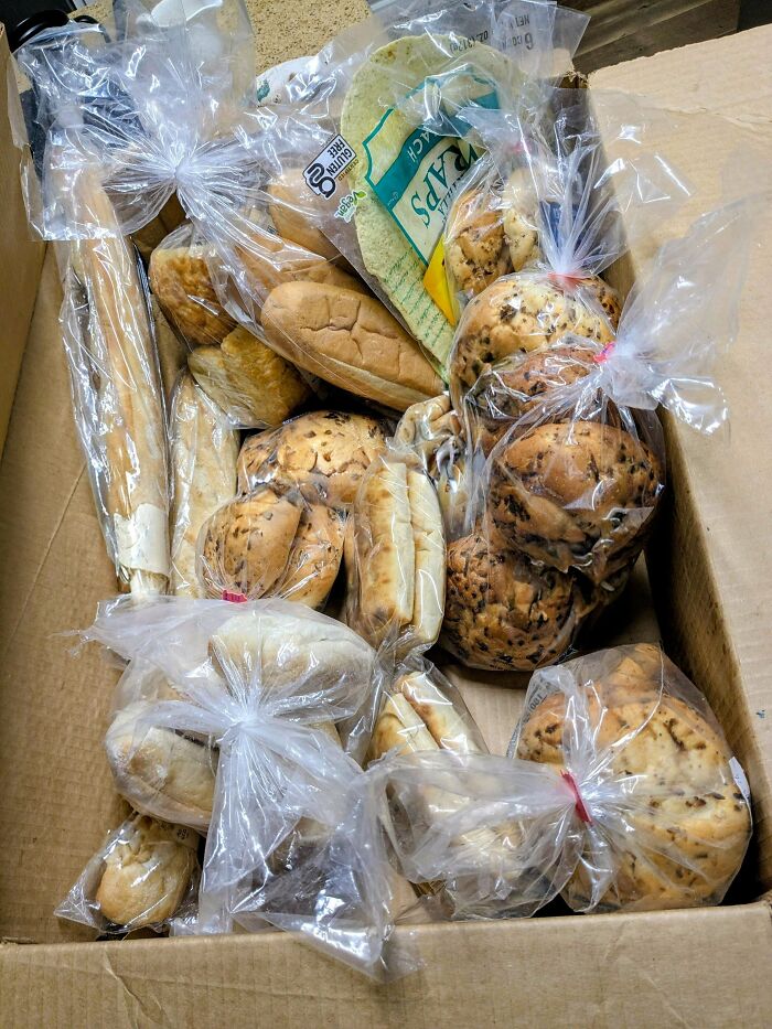 A cardboard box filled with various types of bread and wraps, all individually bagged, found during dumpster diving.