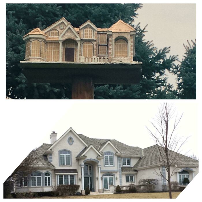 A large house with a matching miniature birdhouse, one of many mildly interesting pictures.