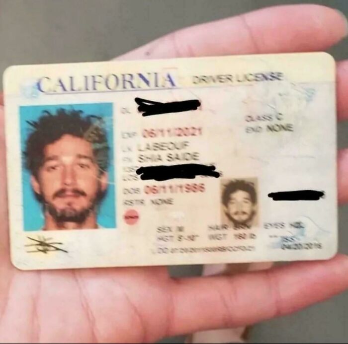 California driver's license held in hand with blurred personal details