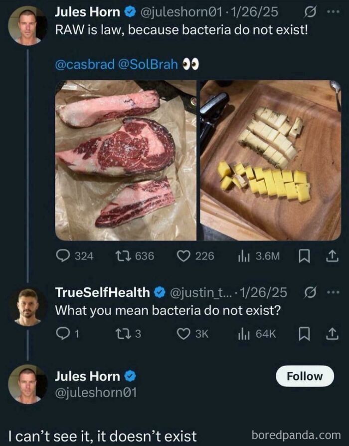 Twitter conversation showing a user claiming bacteria do not exist, a picture made of online lies.