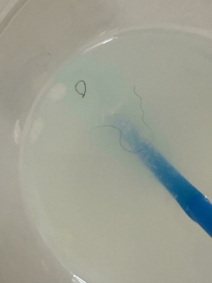 Bathroom basin with blue toothbrush and hair strands in water