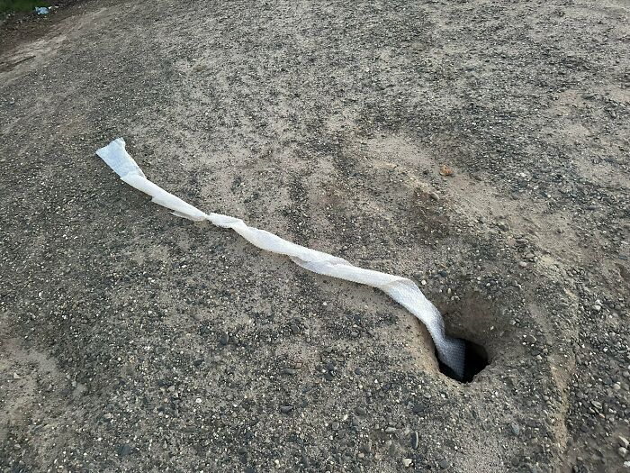 Long strip of bubble wrap seemingly disappearing into a hole in the ground in a strange and confusing outdoor scene.