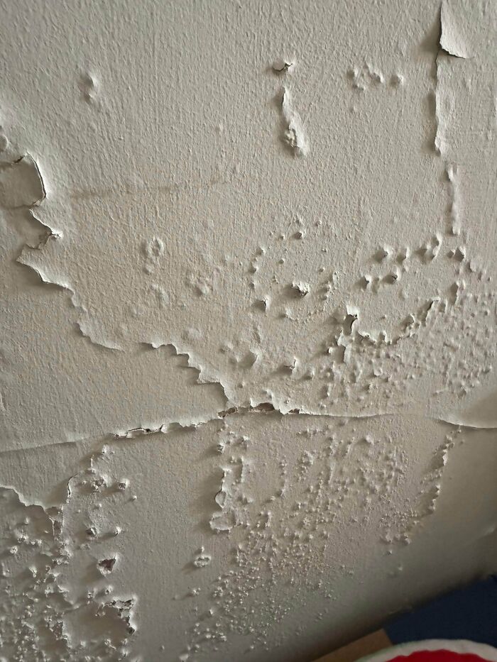 Peeling and bubbling paint on a wall creating a strange texture that confuses people in unusual pics.