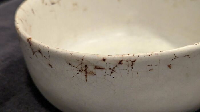 Close-up of a white bowl with unusual brown crack patterns capturing a strange pic that caused confusion.