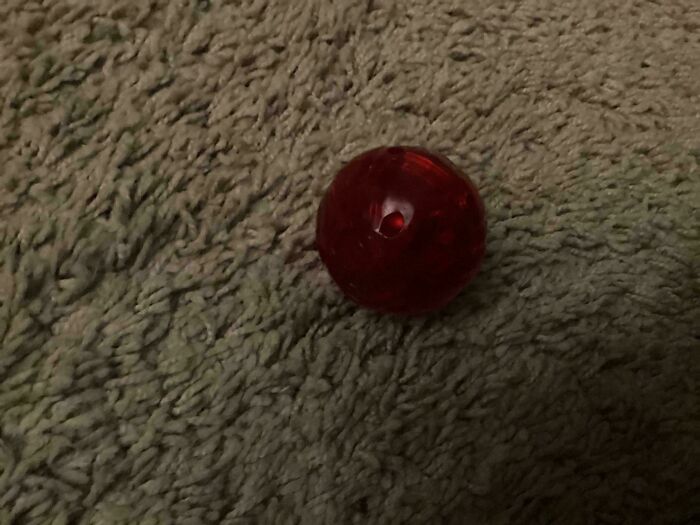 Small red spherical object with a hole in the center resting on a textured surface in a strange pics collection