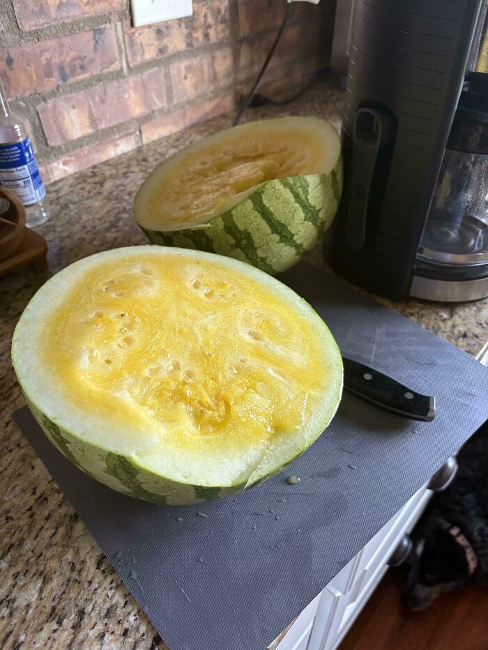 Yellow watermelon cut in half on kitchen counter, a strange and confusing fruit appearance in strange pics collection.