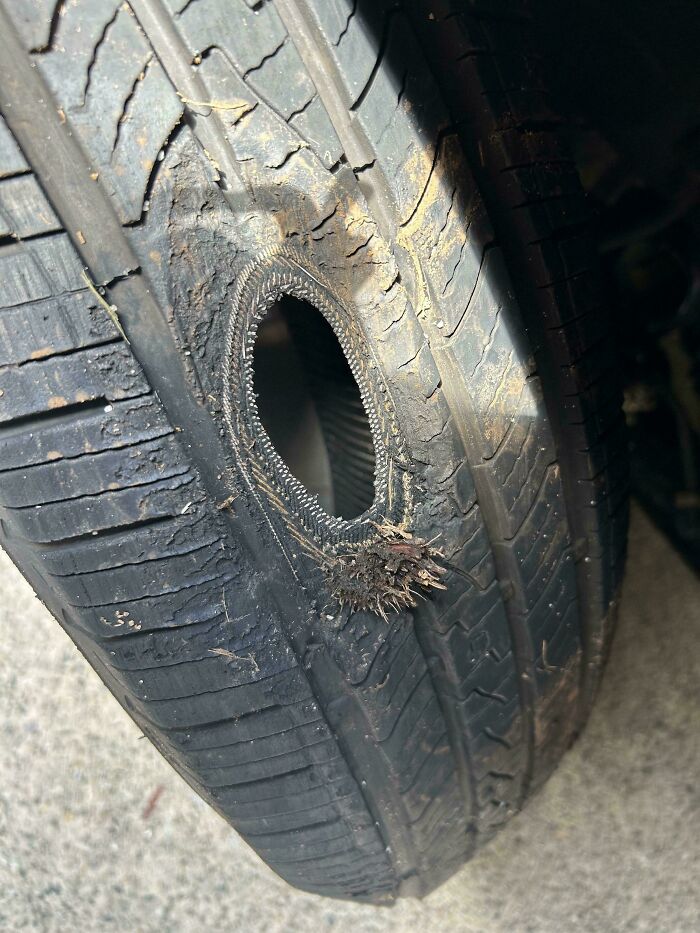 Close-up of a strange pic showing a tire with an unusual circular hole, capturing a moment of utter confusion.