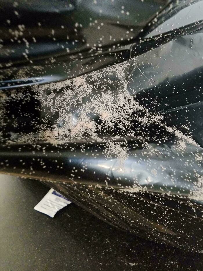 Close-up of strange pics showing tiny white specks mistakenly stuck to a shiny black surface creating a confusing pattern.