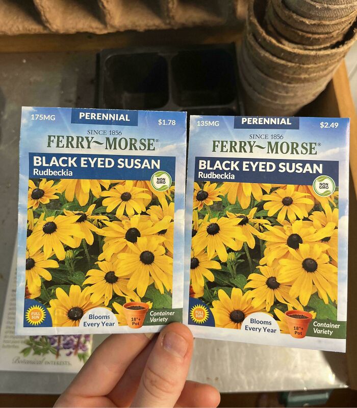 Two seed packets of Black Eyed Susan showing obvious shrinkflation with different quantities and prices side by side.