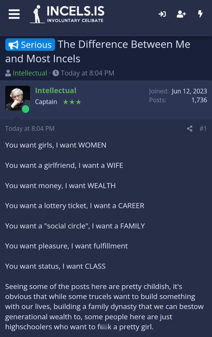 Screenshot of an incel forum post contrasting desires of angry incels seeking women, wealth, family, and fulfillment.