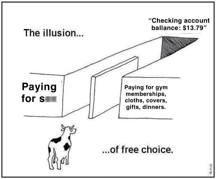 Cartoon illustrating the illusion of free choice related to paying for services with limited account balance, shaming angry incels online.