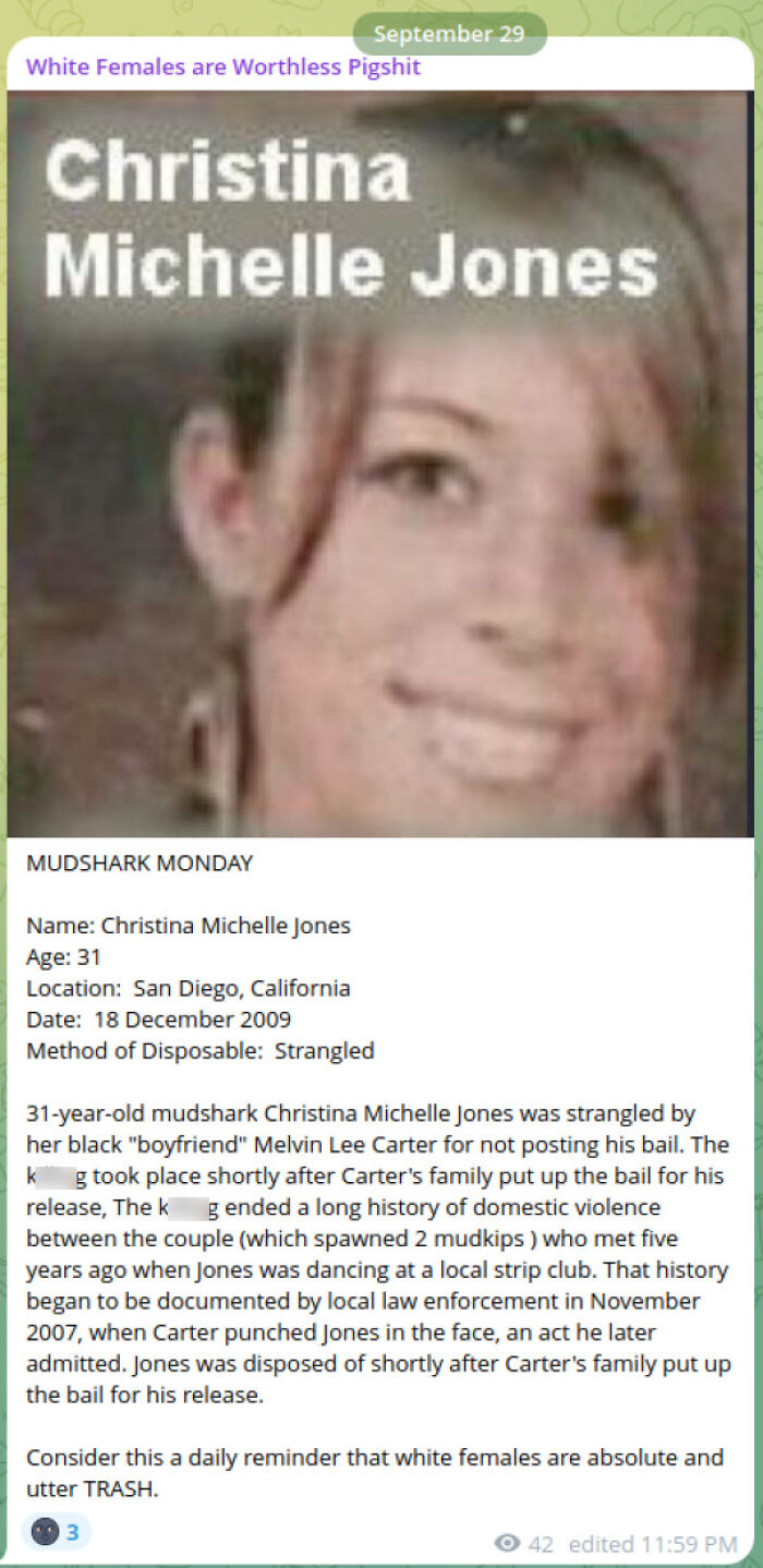 Screenshot of online post showing profile and story of Christina Michelle Jones with incel shaming content.