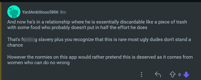 Screenshot of an angry incel comment criticizing relationships, illustrating moments of online incel shaming.
