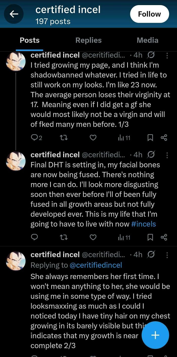 Screenshot of posts from a certified incel account discussing personal struggles and incel experiences online.