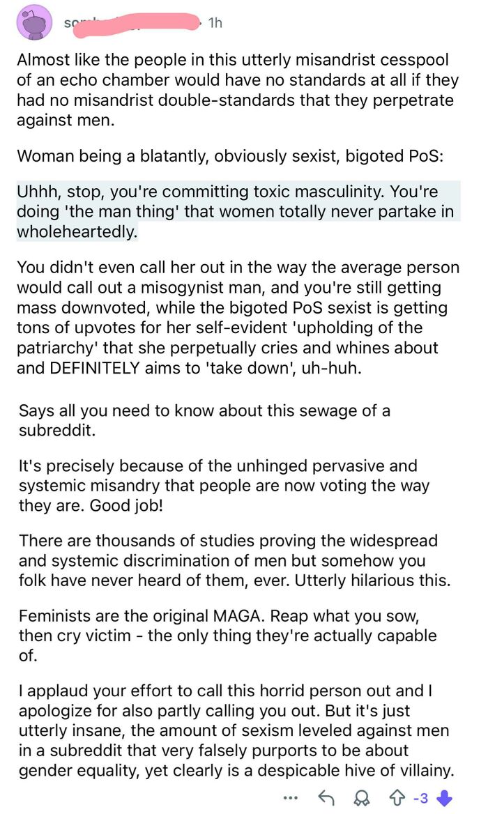 Online comment showing toxic masculinity callout and incel shaming in a heated gender equality debate on social media.