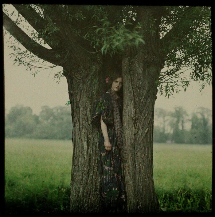 Woman in vintage dress standing between tree trunks in a misty field, evoking photos from decades ago that still speak loudly.