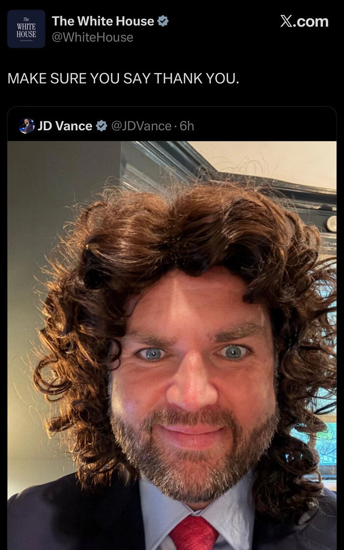 JD Vance with a cringey, curly wig and beard, making a strange expression, an example of how cringey people can be.