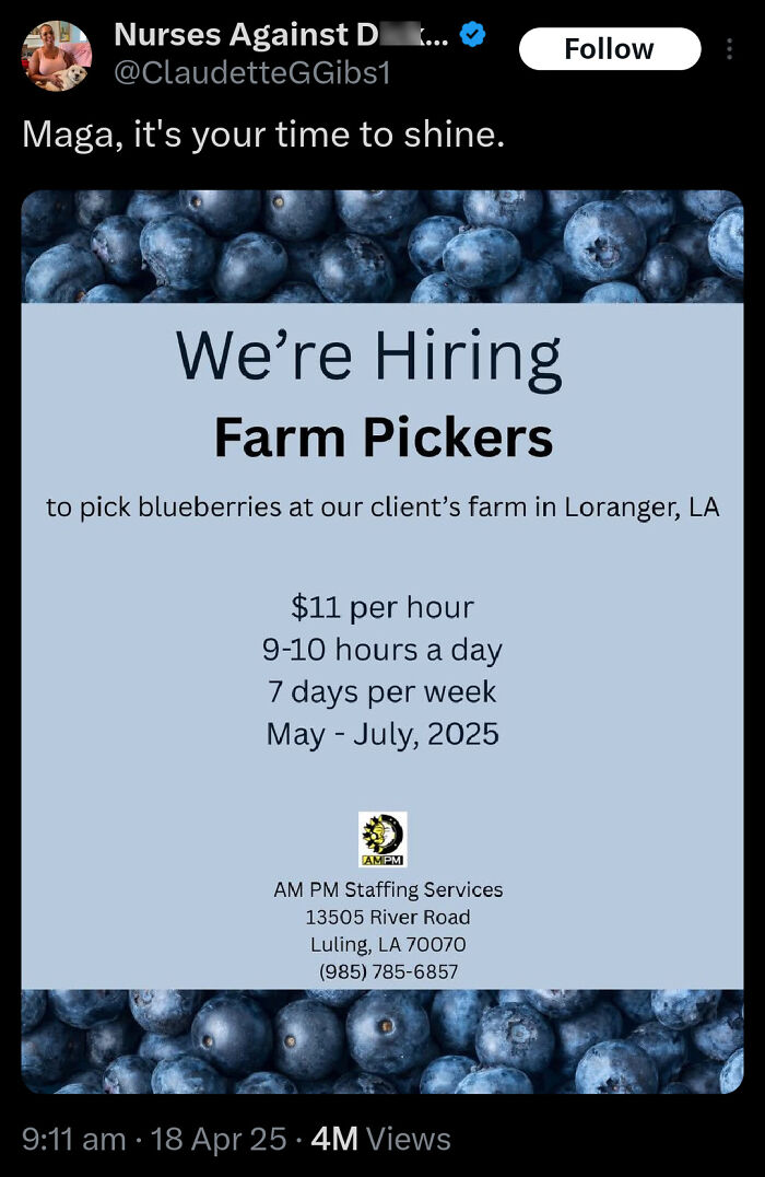 Hiring farm pickers for blueberry picking in Louisiana with details on pay and schedule in a tweet from Black Twitter.