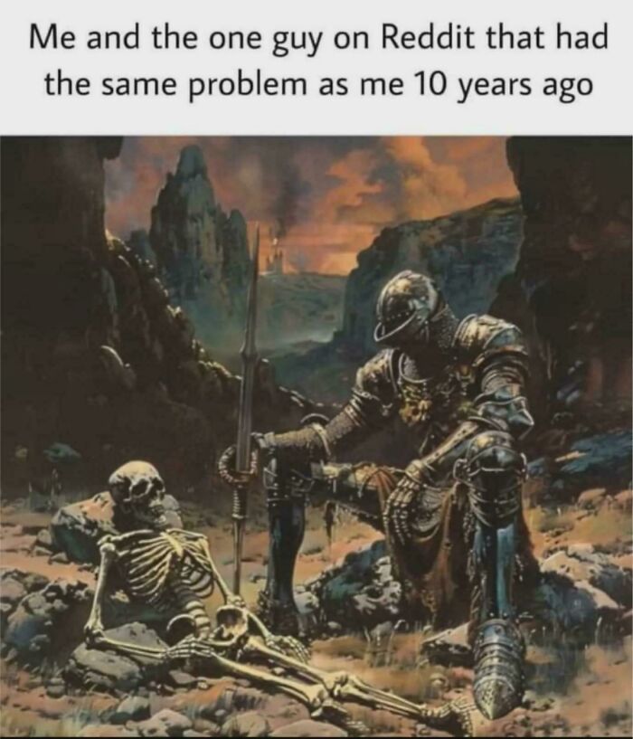 Knight in armor sitting beside skeleton in a rocky landscape, representing shared struggles from the internet's favorite moments.