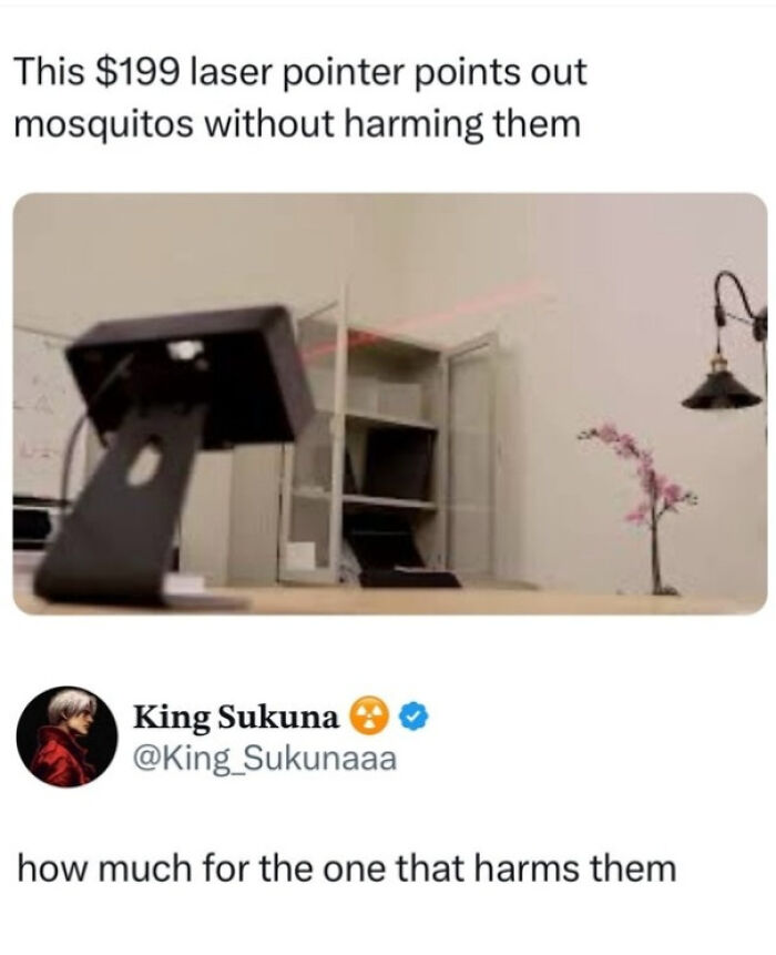 Laser pointer technology highlights mosquitoes without harm in one of the internet's most favorite moments.