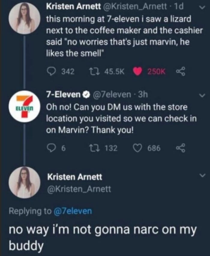 Twitter exchange about a lizard named Marvin at 7-Eleven, a favorite internet moment better than the news.