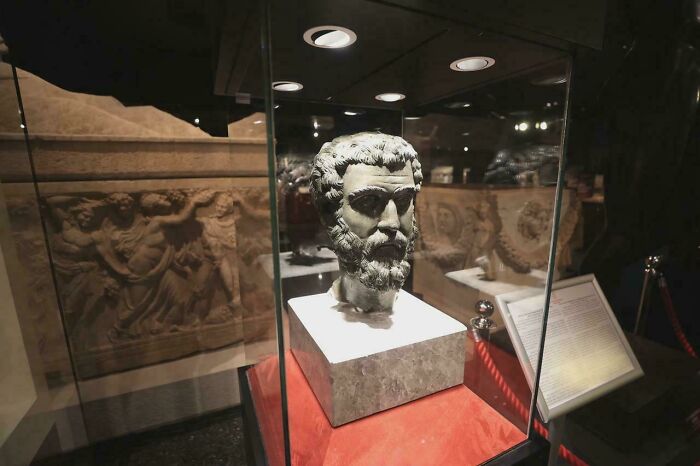 Ancient stone bust displayed in a museum case with carved artifacts in the background, showcasing historical artefacts.