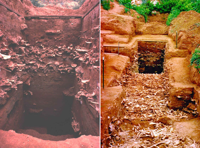 Archaeological excavation site revealing ancient artefacts and human remains, offering perspective on world history and humanity.