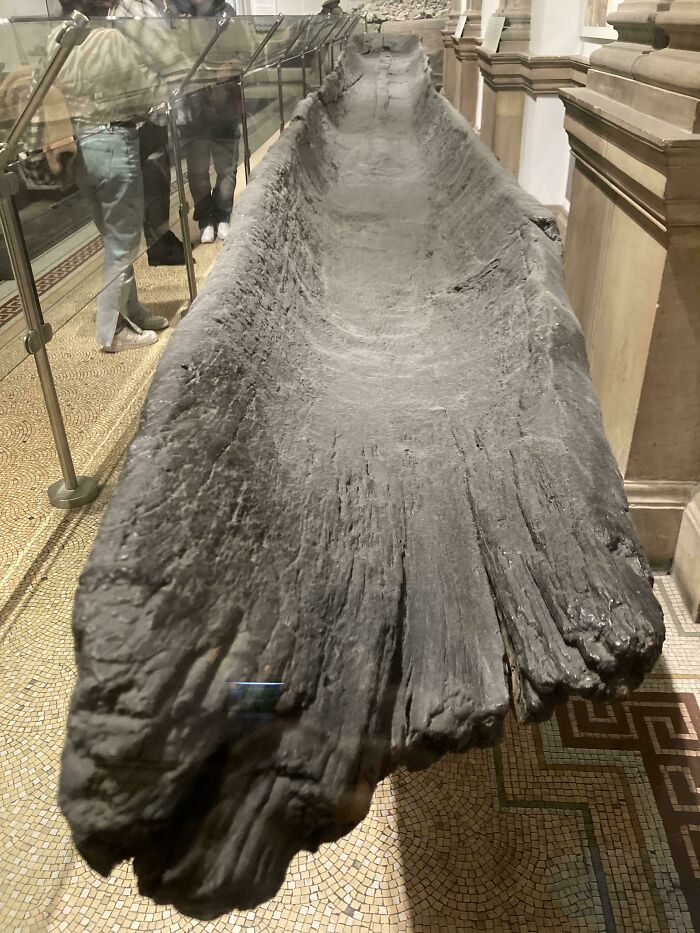 Ancient wooden dugout canoe displayed in a museum as a fascinating artefact that survived to this day showing early human craftsmanship.
